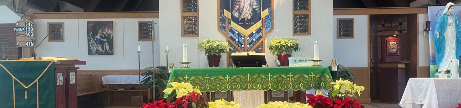 SD Ordinary Time updated July 2025