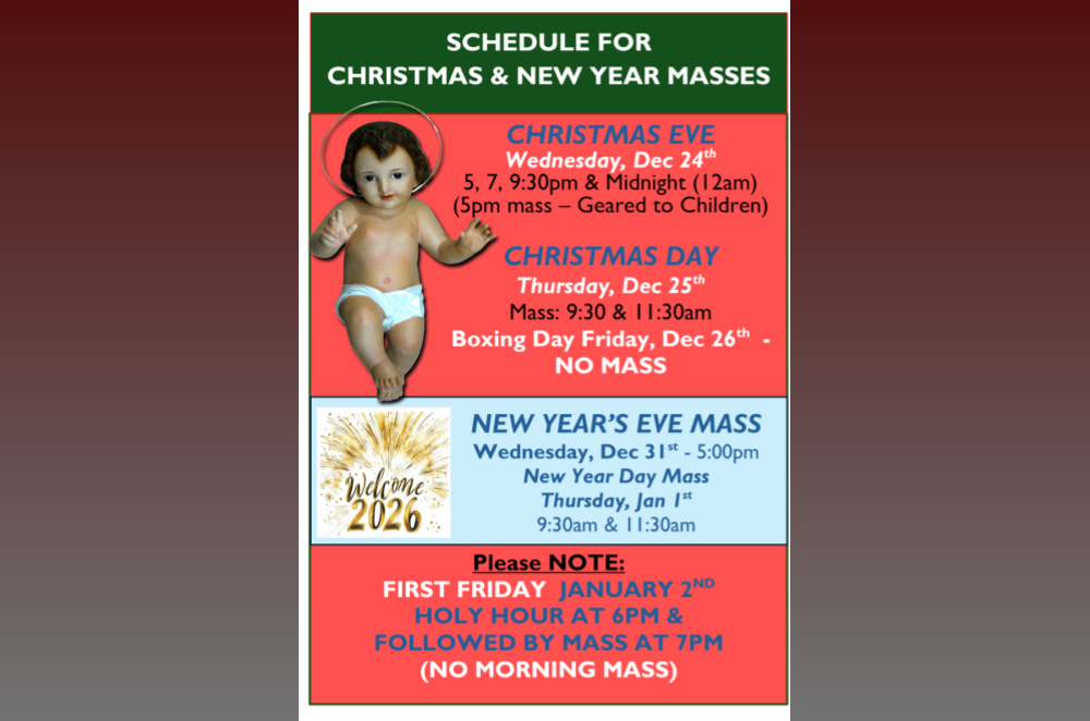 SD Christmas 2025 NY 2026.